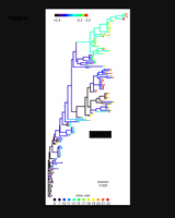 Figure4.gif