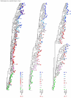 Fig3sm.gif