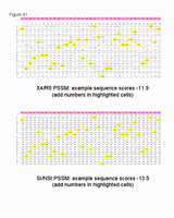 Figure1.gif