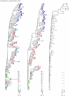 Fig3sm.gif