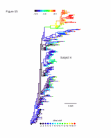 Figure5.gif