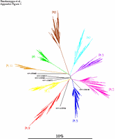 Fig1-GlobalTree.gif